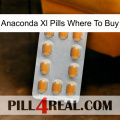 Anaconda Xl Pills Where To Buy cialis3